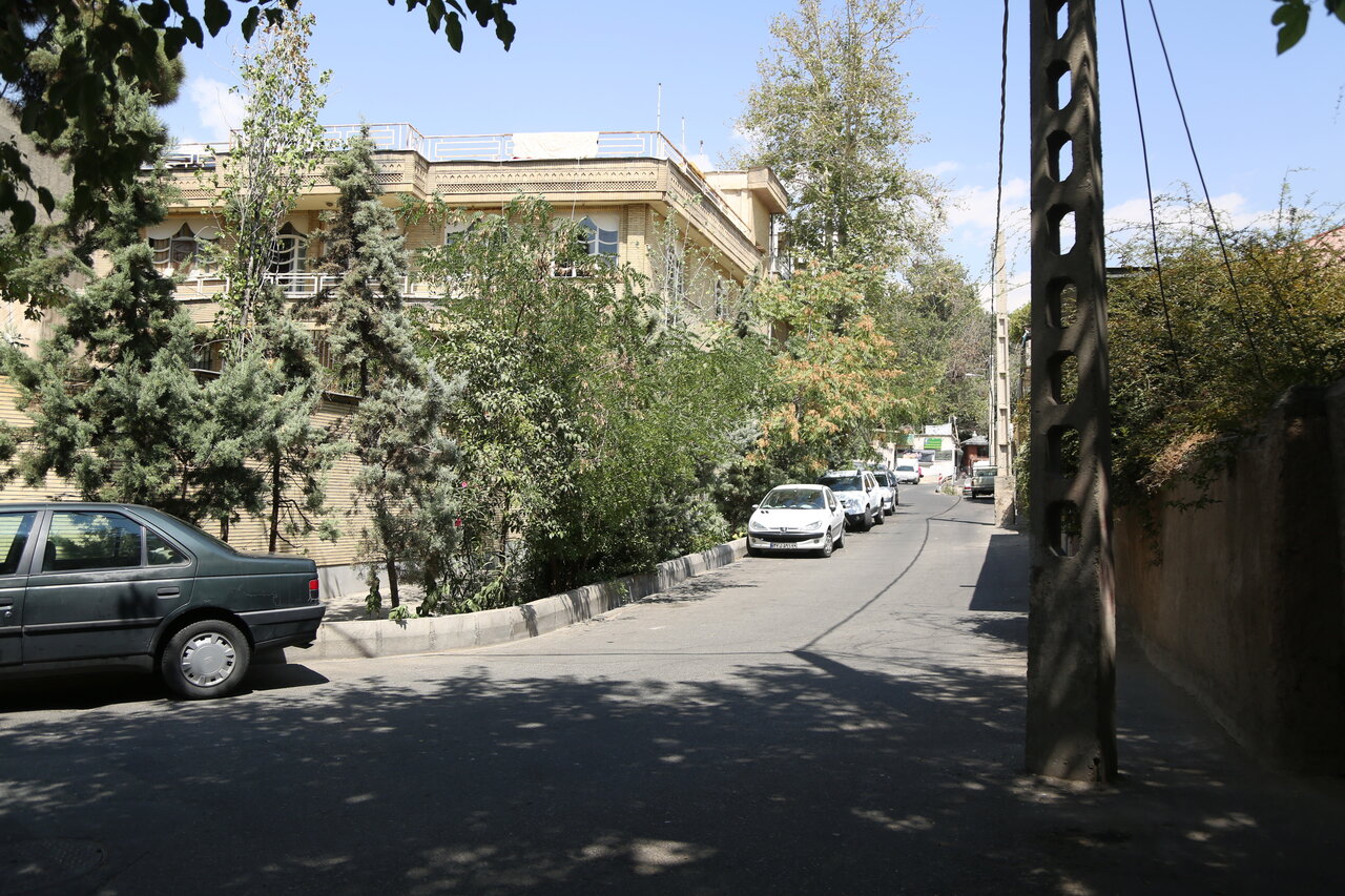 طایفه‌ای از ایل بختیاری درسرزمین درخت‌های ون