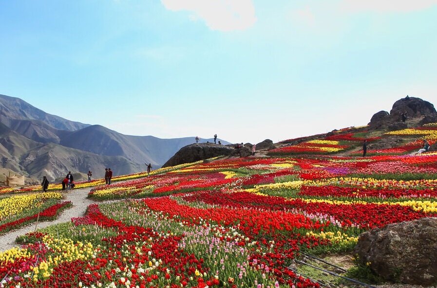 دشت های پر گل ایران + تصاویر
