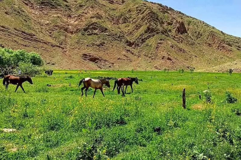 لواسان گردی از گردنه قوچک تا دشت لار